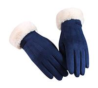 Winter Warm Gloves for Women, Women's Gloves in Autumn and Winter Windproof Warm Plus Velvet Gloves (Blue, Free size)