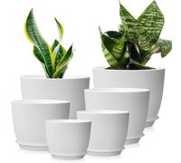 wintfarm Lot de 6 pots de fleurs avec soucoupe - 25/23/20/18/16/13 cm - Avec trous de drainage et plateaux - Idéal pour l'intérieur et les jardins de balcon - Blanc