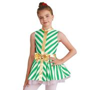 winying Costume De Père Noël Fille Tutu De Danse Classique Ballerine Sainte Du Parti Justaucorps Sans Manche Tenue Noël Performance Vert 11-12 ans
