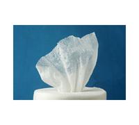 WIPEX WIPEX WET Desi Rouleau non-tissé basic, blanc 20 x 38 cm 100 % PET Quantité:6