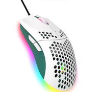 Wired Gaming Mouse, 6 RGB Lighting 6400 DPI Programmable USB Gaming Mice with 6 Buttons, Honeycomb Shell Ergonomic Design for PC Gamers and Xbox and PS4 Users -White Green
