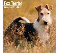 Wirehaired Fox Terrier 2027 Calendar | Square Wall Calendar | Dog Breed Gift | Plastic Free Packaging | by Avonside Publishing