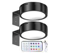 Wireless Picture Light - Magnetic Remote Painting Lamp, 2-Piece USB Rechargeable Display Lamp | 3-Color Adjustable Wall Lighting for Bedroom, Living Room, Gallery, Kitchen Decor
