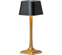 Wireless Rechargeable LED Table Lamp, Dimmable Touch Lamp, Ideal as Desk Lamp, Bedroom Lamp, Bedside Lamp and for Your Business Furnishings