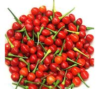 Wiri Wiri Pepper (30 semi) molto difficile da trovare - C. frutescens - Da Guyana!:Seeds