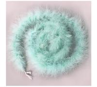 Wisafory Boa à Plumes 2 m - Guirlande Moelleuse - Pour Bricolage, Couture, Costume - Accessoire pour Mariage, Carnaval, Fête à Thème, Noël, Fête - Vert Clair
