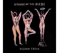 Wisdom Teeth by Jealous of the Birds [Audio CD] NEUF