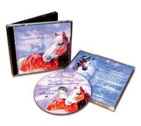 Wisdom's Journey to Your Personal Future: A Daily Tool For Manifesting Your Future. Touched By a Horse.