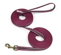 Wisedog Longe pour Chien - Laisse d'entraînement antidérapante et Robuste pour Le Suivi, Le Camping, Les Jeux et Le Jardin Bordeaux 10 m