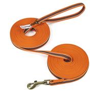 Wisedog Longe pour Chien - Laisse d'entraînement antidérapante et Robuste pour Le Suivi, Le Camping, Les Jeux et Le Jardin Orange 10 m