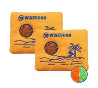 Wisesorb Lot de 2 paquets de déshydratants rechargeables de 100 gx2 pour le stockage, packs de gel de silice indiquant la couleur, absorbants d'humidité avec fenêtre visible, sacs réutilisables