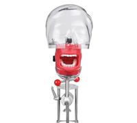 Wisfancy Tête de mannequin pour simulateur dentaire - Tête fantôme - Typodont Dentaire - Modèle d'entraînement fixe sur table de bureau pour la pratique éducative des écoles dentaires