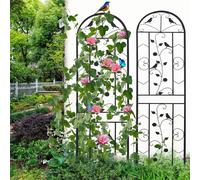 WISFOR Ensemble de 2 treillis inoxydables Vintage Aide à la croissance en métal Treillis pour fleurs 210 cm