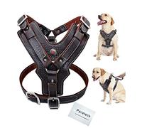 Wishdeal Harnais en cuir véritable durable et réglable pour chiens de grande taille - Contrôle rapide avec poignée - Fournitures pour animaux domestiques K9 Labrador (M)