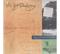 Wishing Like A Mountain And Thinking Like The Sea [Vinyl LP]