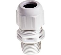 Wiska 10061435 Presse-étoupe résistant aux chocs, avec décharge de traction, avec joint 2'' NPT Polyamide gris (RAL 7035) 3 pc(s)