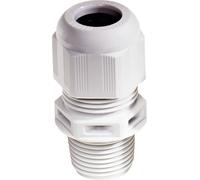 Wiska 10061861 Presse-étoupe résistant aux chocs, avec décharge de traction, avec joint 1/2\ NPT Polyamide gris clair (RAL 7035)
