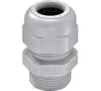 Wiska 10066008 Presse-étoupe résistant aux chocs, avec décharge de traction, avec joint PG36 Polyamide gris (RAL 7001) 10 pc(s)