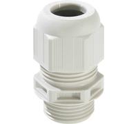 Wiska 10105494 Presse-étoupe résistant aux chocs, avec décharge de traction, avec joint M20 Polyamide gris clair (RAL 7035) 50