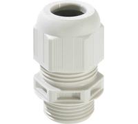 Wiska 10110701 Presse-étoupe résistant aux chocs, avec décharge de traction, avec joint M40 Polyamide gris clair (RAL 7035) 10