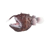 wisoolkic Collection de Figurines de Poissons-pêcheurs - Modèle d'animal Marin, Cadeau d'anniversaire pour garçon Objet décoration.