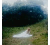 Wisp - If Not Winter [Compact Discs]