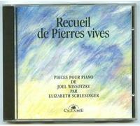 Wissotzky Joel - Recueil De Pierres Vives