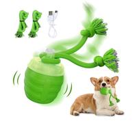 Wisylizv Jouet roulant pour chats, jeux d'enrichissement électriques | balle rotative intelligente - pour la prévention de l'ennui stimulation mentale maison salon chambre d'activité après repas