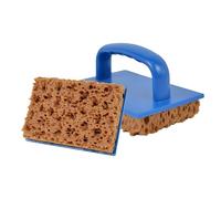 Wisylizv Pinceau éponge de peinture - Applicateur de texture d'algues réutilisables - Éponges de mer naturelles pour peinture | Pour douche, salle de bain, cuisine, mur, plafond