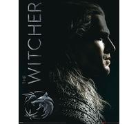 Witcher, The Mini-Poster Shadows Embrace