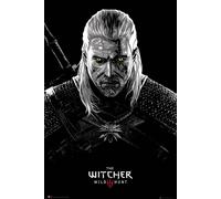 Witcher, The - Poster - Toxicity Poisoning + 1 paquet de tesa Powerstrips® - Contenu 20 pièces