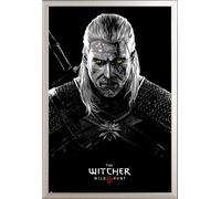 Witcher, The - Poster - Toxicity Poisoning + cadre amovible, Shinsuke® Maxi aluminium argenté, vitre acrylique