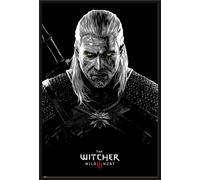 Witcher, The - Poster - Toxicity Poisoning + cadre amovible, Shinsuke® Maxi plastique noir, vitre acrylique