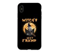 Witch's Best Friend Halloween Grey Tabby Cat Witch in Pocket Coque pour iPhone XS Max