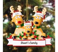 witfox Boule de noël personnalisée avec 2/3/4/5/6/7/8 Noms de Famille - 2024 Décorations du Sapin de noël en résine, personnalisées Cadeaux de Noël pour la Famille, Le Partenaire et Les Amis 3