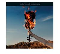 With Friends from the Orchestra