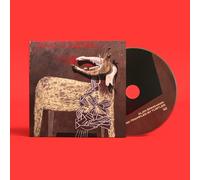 with Trampled by Turtles