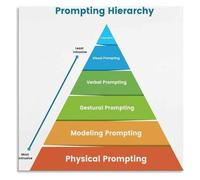 Withdraw Prompts Poster Special Education Hierarchy Reference