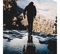 Withered Bones – in Search of Self-Evidence – CD – Universal Music Group