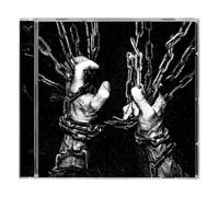 Within The Viscera