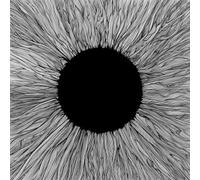 Witness CD