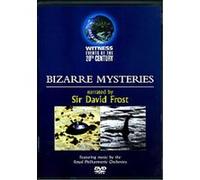 Witness Events Of The 20th Century - Bizarre Mysteries G