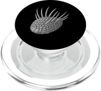 Wiwaxia Fossil Cambrian Invertébré blindé sclérite PopSockets PopGrip pour MagSafe