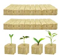 WIYETY Cube de laine de roche - 100 pièces - 25 x 25 x 25 mm - Laine de roche - Tapis de culture - Feuille de laine de roche pour culture sans sol, hydroponique, boutures, plantes clones