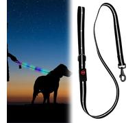 WIYETY Laisse LED pour chien - 1,2 m - Rechargeable - 9 modes d'éclairage - Sécurité pour les promenades nocturnes - Laisse de jogging pour chiens de grande taille et moyenne - Clignotante