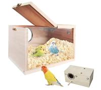 WIYETY Nichoir transparent en bois massif pour perruches ondulées - Petit nid d'oiseau - Pour perruches ondulées inséparables