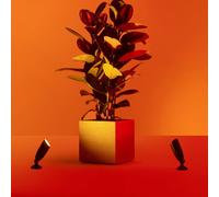 Wiz Ground Kit de démarrage pour projecteurs, LED, 8720169071599,