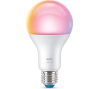 WiZ Smart LED A67 ampoule 13W = 100W E27 mat 1521lm RGBW 2200K-6500K dimmable App Google Alexa WiFi
