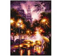 Wizardi Kit point de croix compté nuit de pluie 550-762 Magic Needle