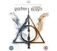 Wizarding World 10 Film Collection (Harry Potter & Fantastic Beasts) [Blu-ray]